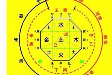 时辰八字表|生辰八字算命、五行喜用神查询（免费测算）